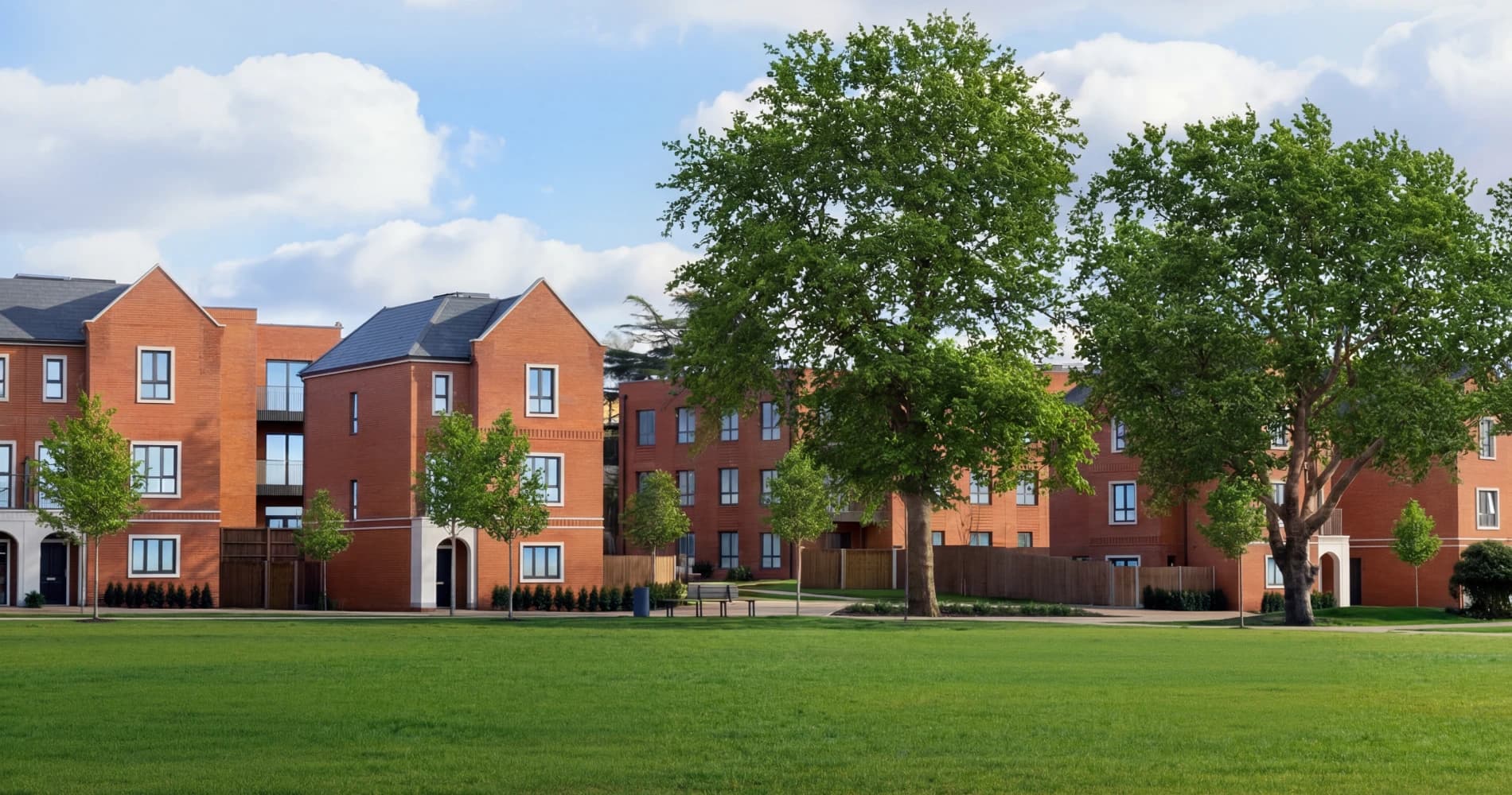 Wandsworth Common · Willow
